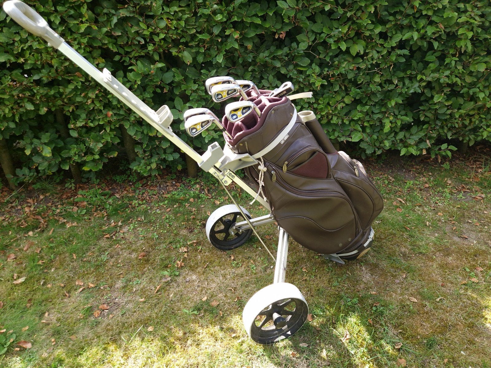 Skymax complete golfset, Ophalen, Gebruikt, Set, Overige merken