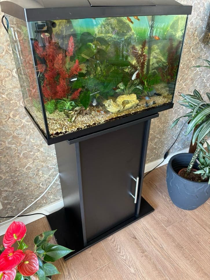 Complete aquarium, Ophalen, Gebruikt, Leeg aquarium, Superfish
