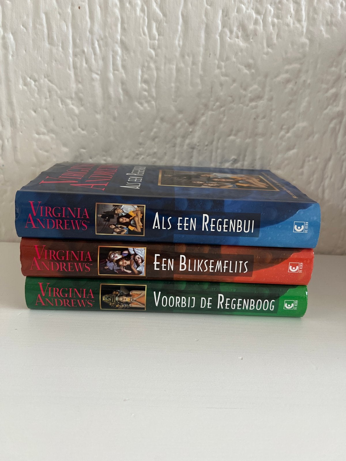 Virginia Andrews Hudson-serie: Als een Regenbuil, Een Blikse, Ophalen of Verzenden, Zo goed als nieuw, Nederland