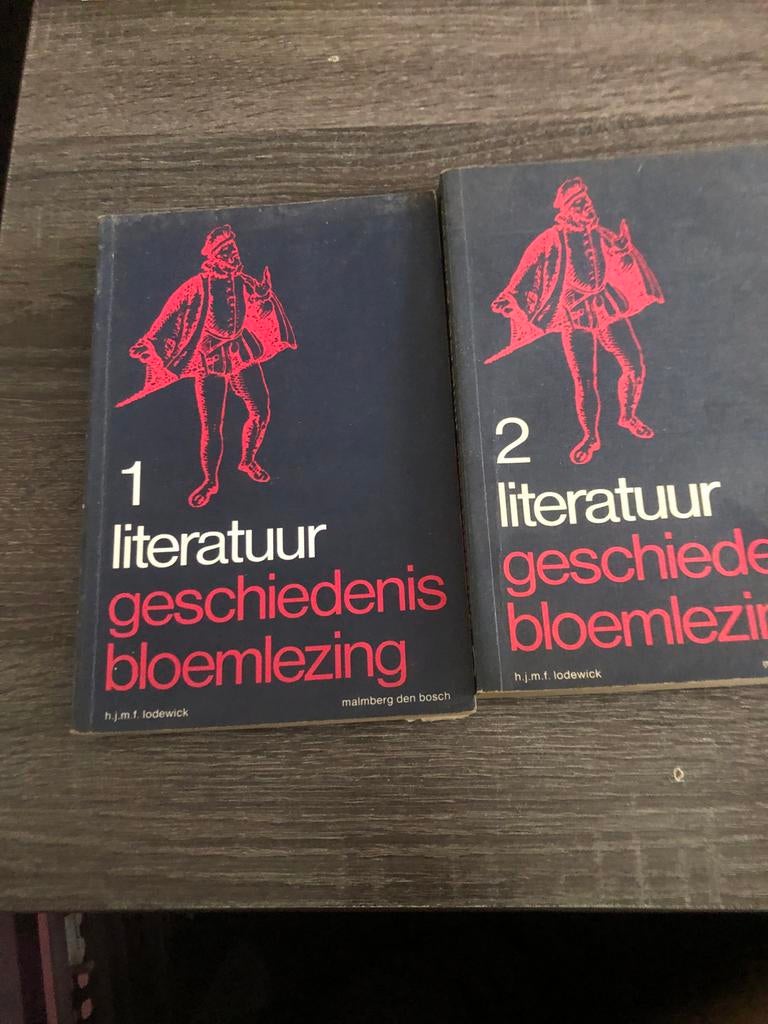 Literatuur Geschiedenis Bloemlezing deel 1 & 2 - Lodewick, Boeken, Ophalen of Verzenden, Gelezen, Nederland