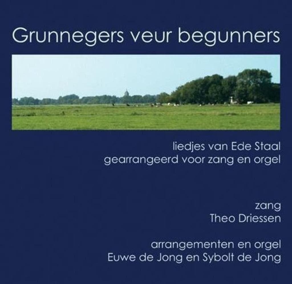 Grunnegers Veur Begunners  Theo Driessen, Cd's en Dvd's, Vinyl | Nederlandstalig, Zo goed als nieuw, Levenslied of Smartlap, 12 inch