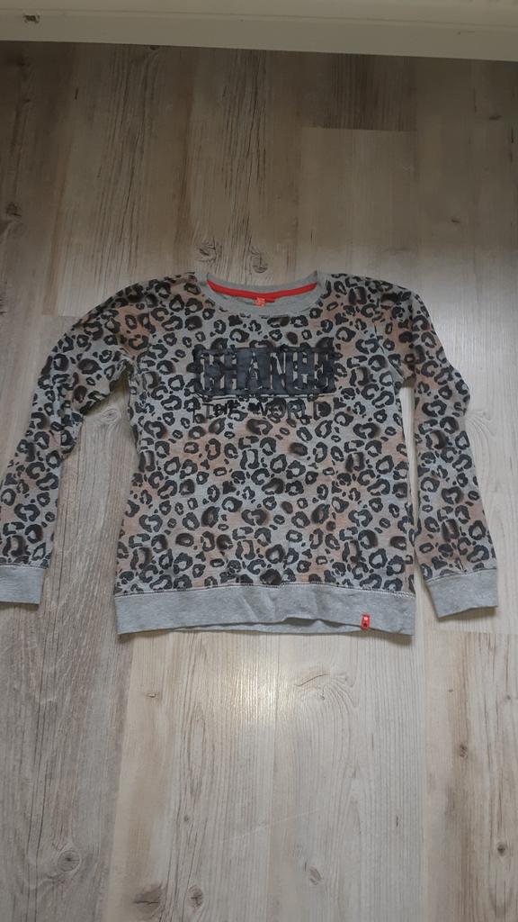 Leuke trui maat 170, Kinderen en Baby's, Kinderkleding | Maat 170, Ophalen of Verzenden, Gebruikt, Meisje, Trui of Vest