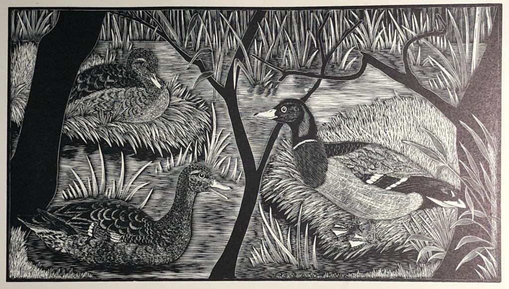 Mooie, betaalbare kunst v/h Grafiekkabinet E.F. Daglish, Ophalen of Verzenden