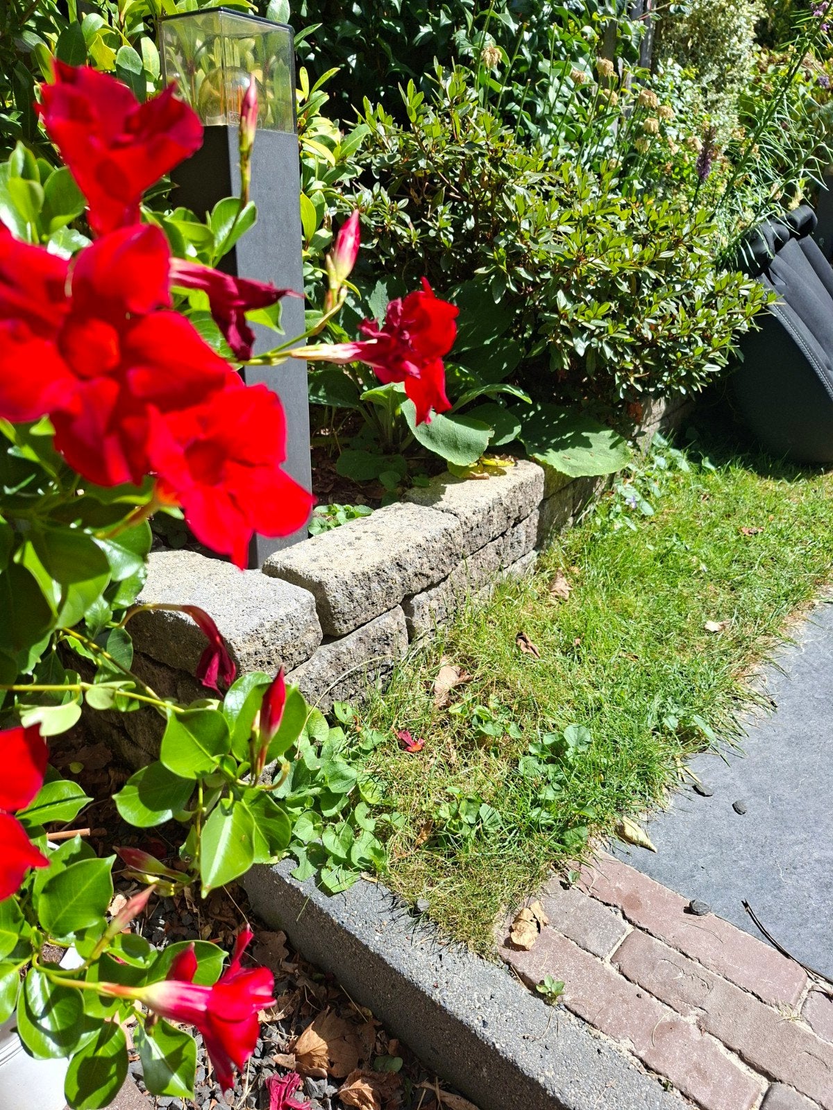 Gratis borderrand stenen 15x7.5 cm, Tuin en Terras, Tegels en Klinkers, Ophalen, Beton, Klinkers