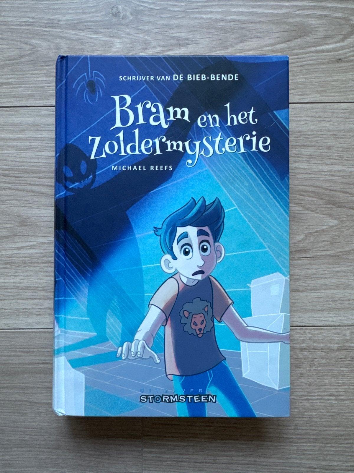 Michael Reefs - Bram en het Zoldermysterie, Boeken, Ophalen, Fictie algemeen, Michael Reefs, Zo goed als nieuw
