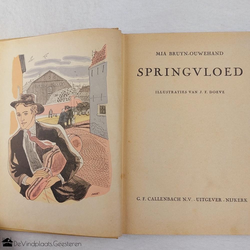 Streekroman Katwijk Springvloed – ill Eppo Doeve – ca. 1947, Boeken, Ophalen of Verzenden, Gelezen, Zuid-Holland