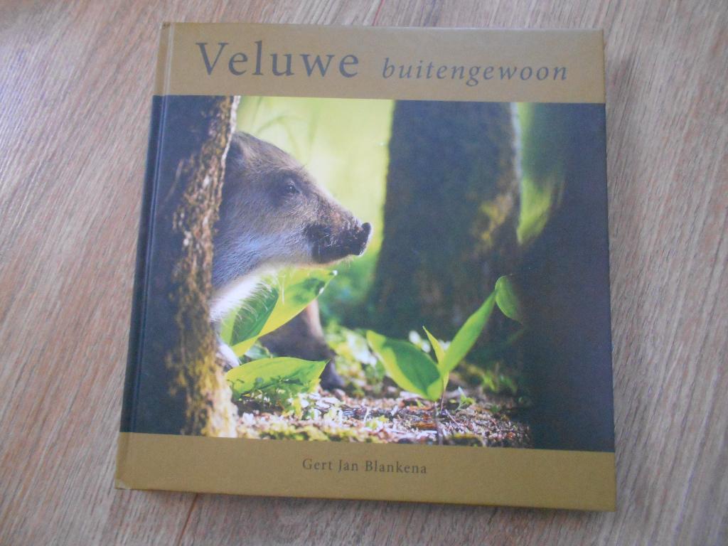 Gert Jan Blanken Veluwe buitengewoon, Boeken, Geschiedenis | Stad en Regio, Ophalen of Verzenden, Zo goed als nieuw