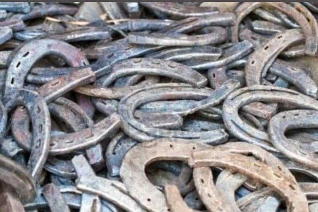 Gebruikte hoefijzers te koop:, Dieren en Toebehoren, Paarden en Pony's | Overige Paardenspullen, Gebruikt, Overige soorten, Ophalen