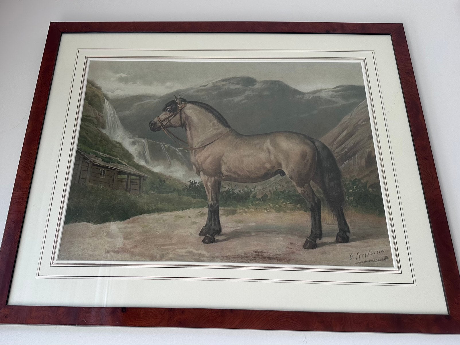 8x Otto Eerelman Paardenrassen (1898) – Luxe ingelijst, Ophalen