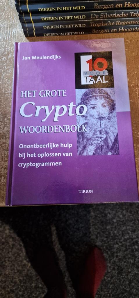Het Grote Crypto Woordenboek - Jan Meulendijks, Boeken, Ophalen of Verzenden