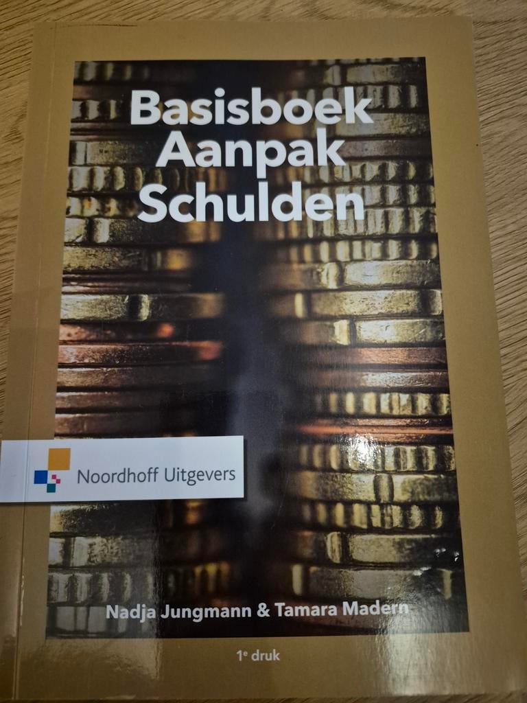 Basisboek Aanpak Schulden - Nadja Jungmann & Tamara Madern, Nadja Jungmann & Tamara Madern, Zo goed als nieuw, Gamma, HBO
