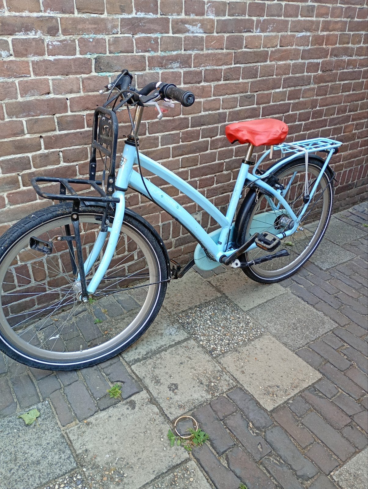 Alpina meisjesfiets, cargo, 26 inch, Fietsen en Brommers, Ophalen, 26 inch of meer