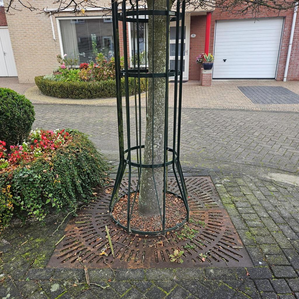 Boomroosters, Ophalen, Zo goed als nieuw