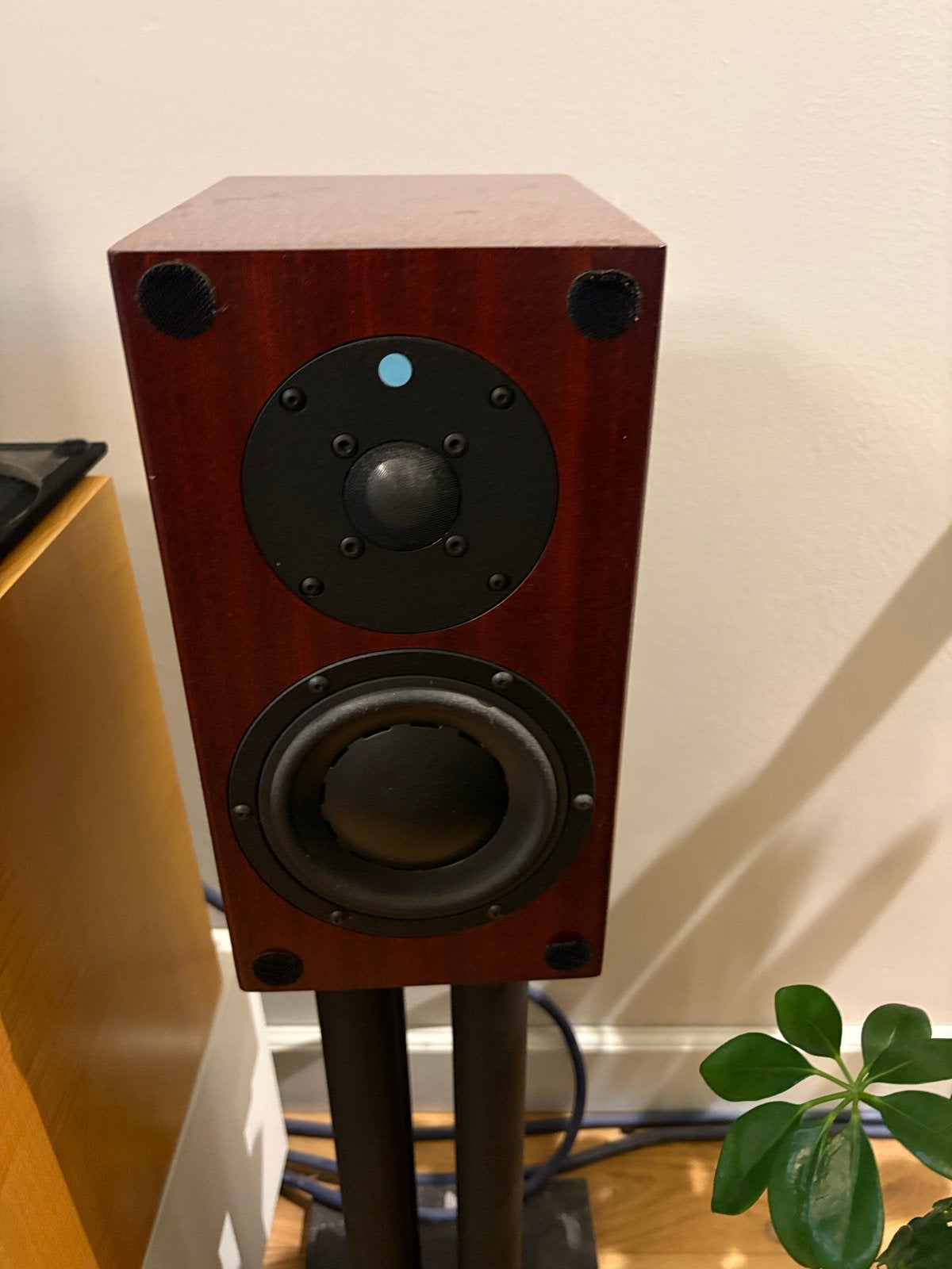 TOTEM Model 1 versie biwire