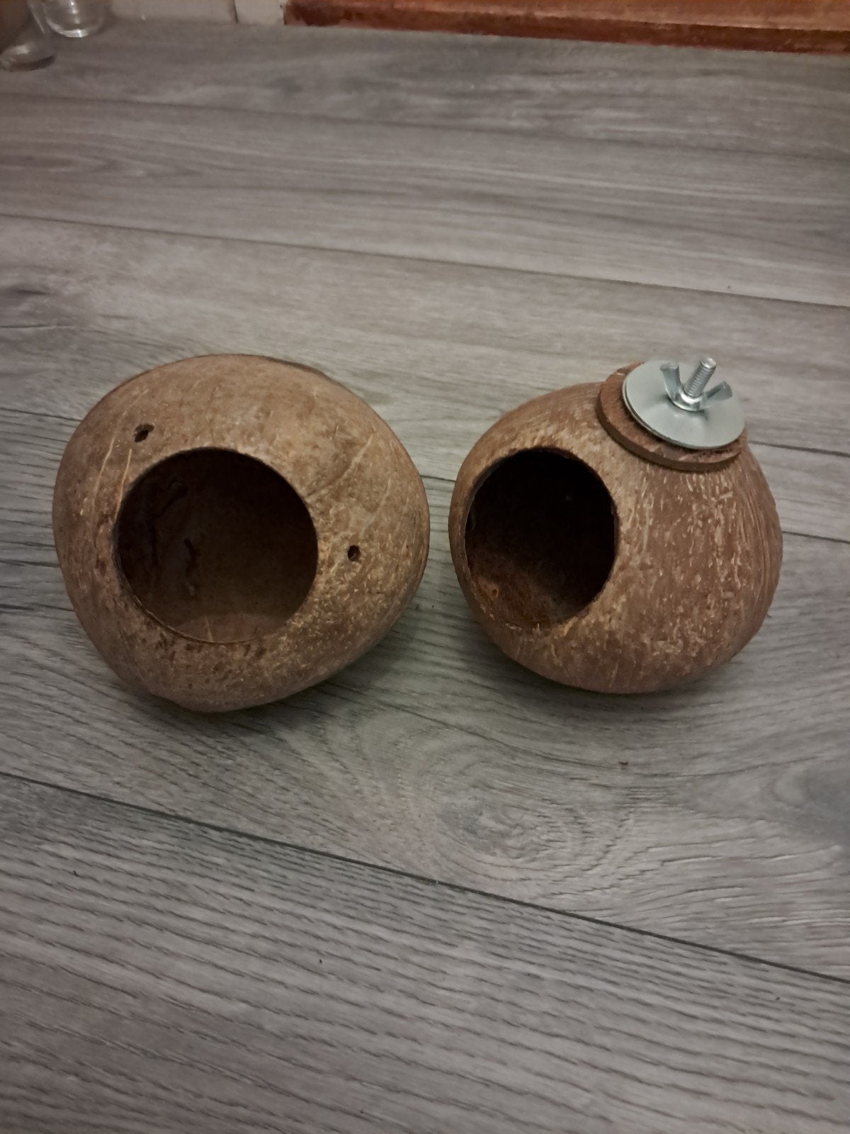 2 cocos noten voor knaagdieren, Ophalen