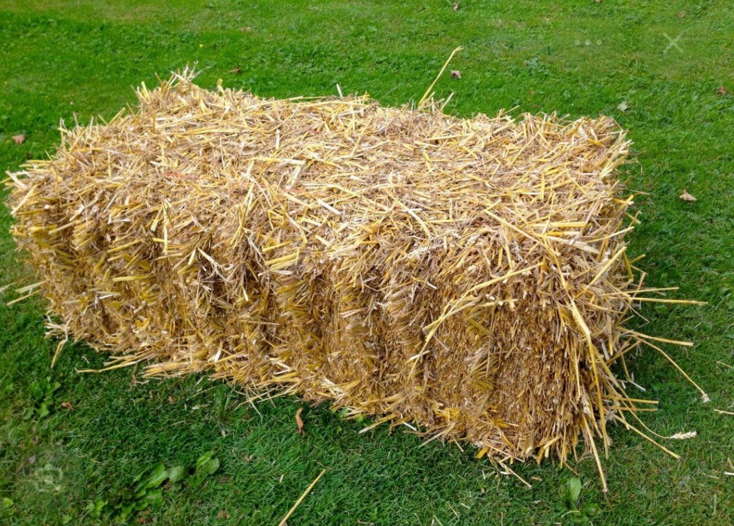 Twee strobalen - gratis, Dieren en Toebehoren, Dierenvoeding, Ophalen