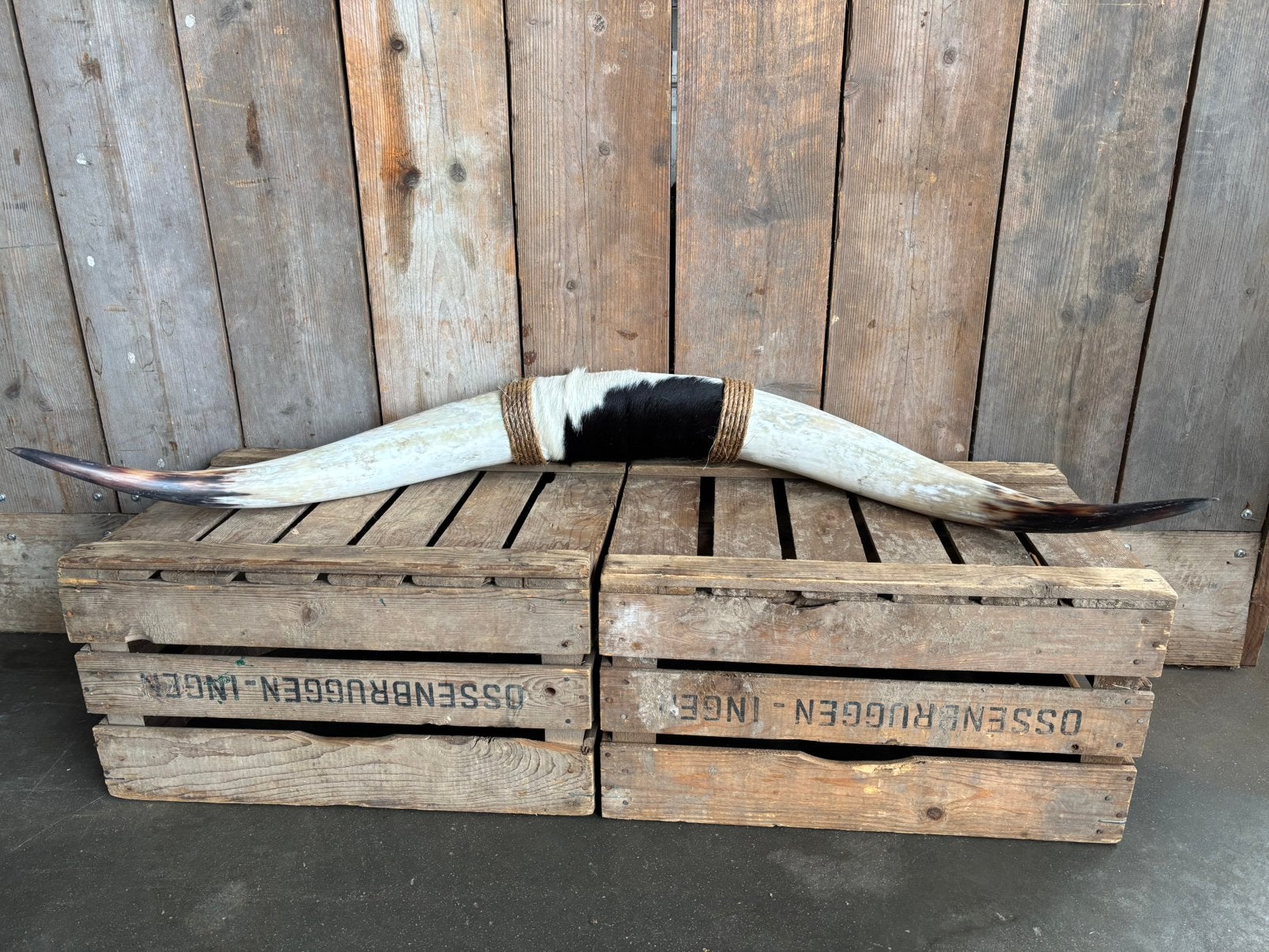 Mooie stoere Bullbar! (1), Ophalen, Nieuw, Overige soorten, Overige typen