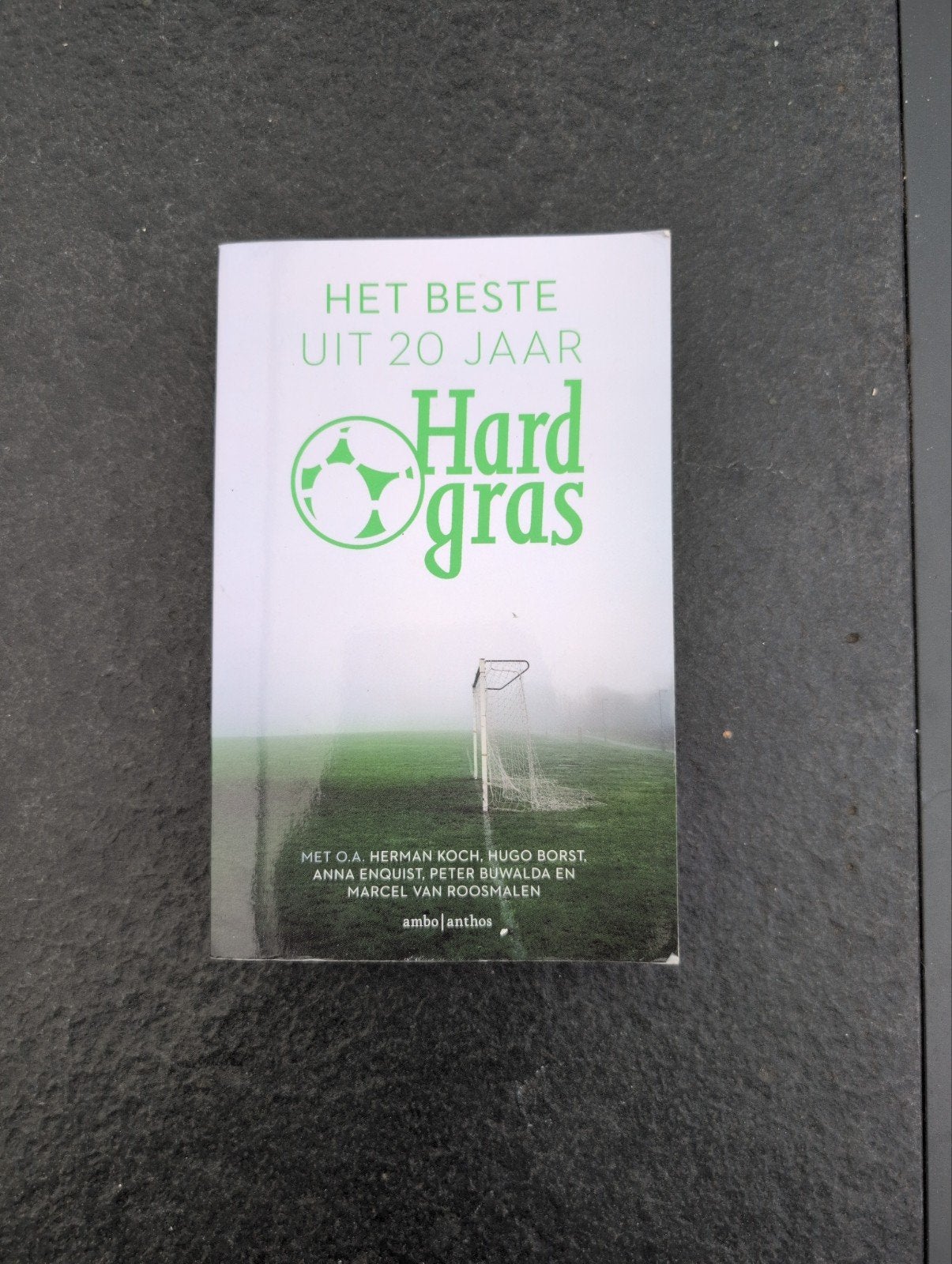 Het Beste uit 20 Jaar Hard Gras - Voetbalverhalen, Boeken, Ophalen of Verzenden, Zo goed als nieuw, Herman Koch, Hugo Borst, Anna Enquist, Peter Buwalda