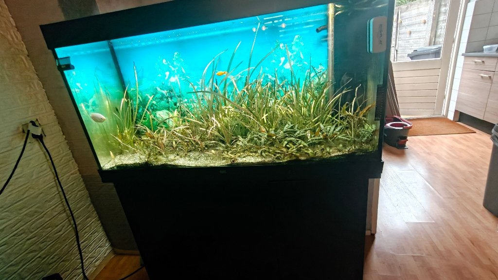 Aquarium - Juwel Rio 450 LED incl. meubel, CO2-set, Dieren en Toebehoren, Ophalen, Gebruikt, Leeg aquarium, Pomp