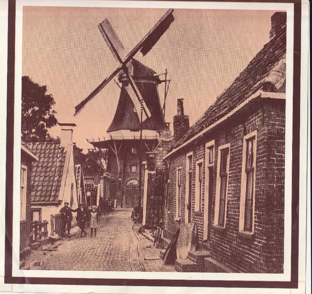 Molen de Adam Delfzijl, Verzamelen, Foto's en Prenten, Foto, Ophalen of Verzenden, Zo goed als nieuw, Voor 1940