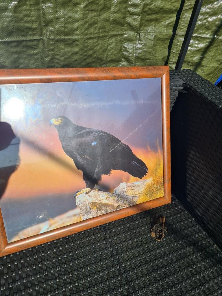 Mooie foto's in lijst 7.50 per stuk, Ophalen of Verzenden