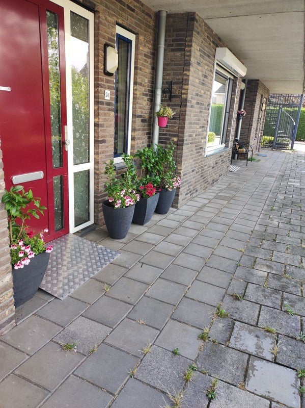 NIEUW! Woonruimte te huur Dam, Strijen, Huizen en Kamers