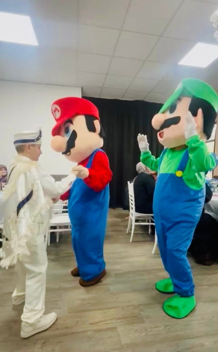 Mario en Luigi mascotte voor de leukste Super Mario feestjes, Ophalen, Zo goed als nieuw, Verjaardag