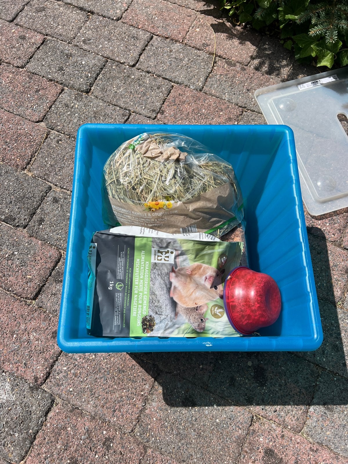 Hamsterspullen, Dieren en Toebehoren, Knaagdieren en Konijnen | Toebehoren, Ophalen, Speelgoed
