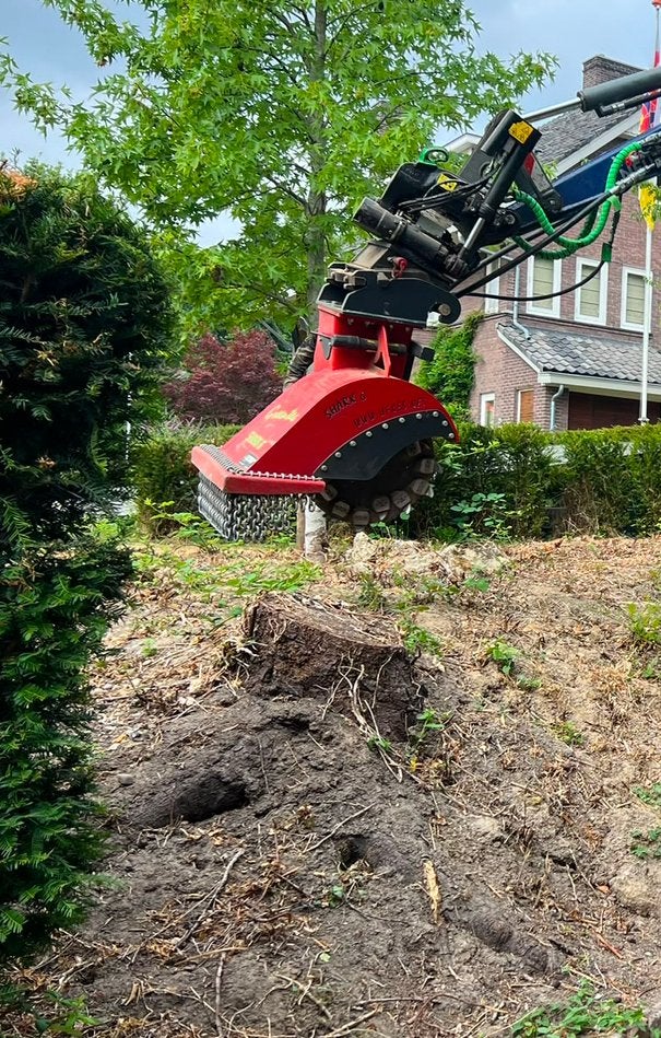 Boomstronk verwijderen stobbenfrees Limburg