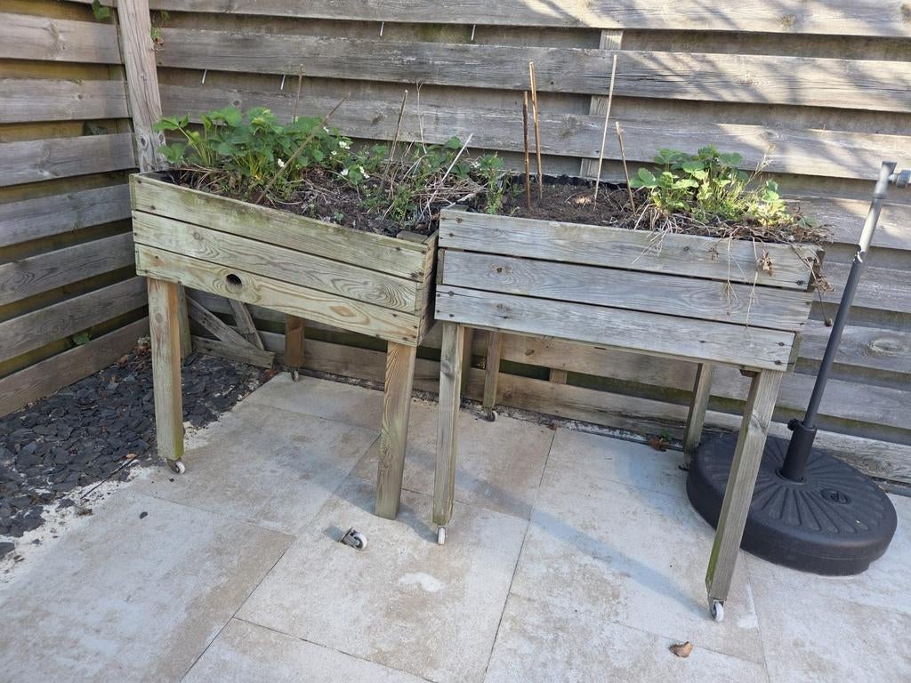 Twee moestuinbakken, opknappers op wieltjes, Tuin en Terras, Bloembakken en Plantenbakken, Ophalen, Gebruikt, Vierkant, 60 tot 100 cm