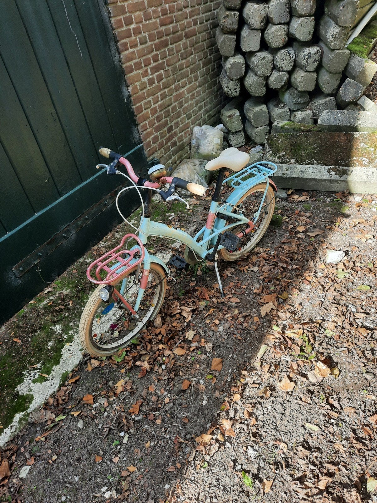 meisjesfiets  20 inch, Ophalen of Verzenden