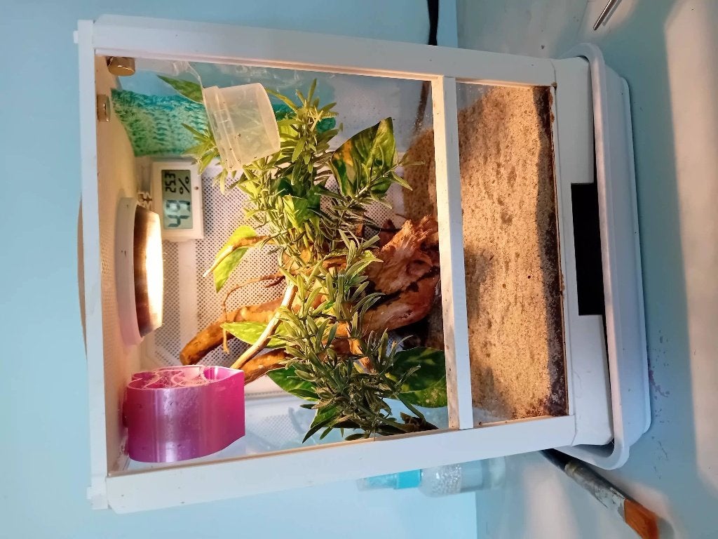 Acryl terrarium, Ophalen, Zo goed als nieuw