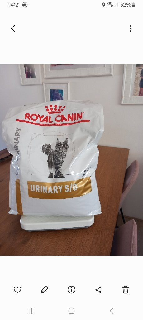 royal  canin uranairy so, Ophalen of Verzenden, Kat