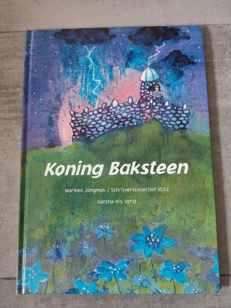 Koning Baksteen in nieuwstaat, Boeken, Ophalen of Verzenden, Nieuw, Fictie algemeen