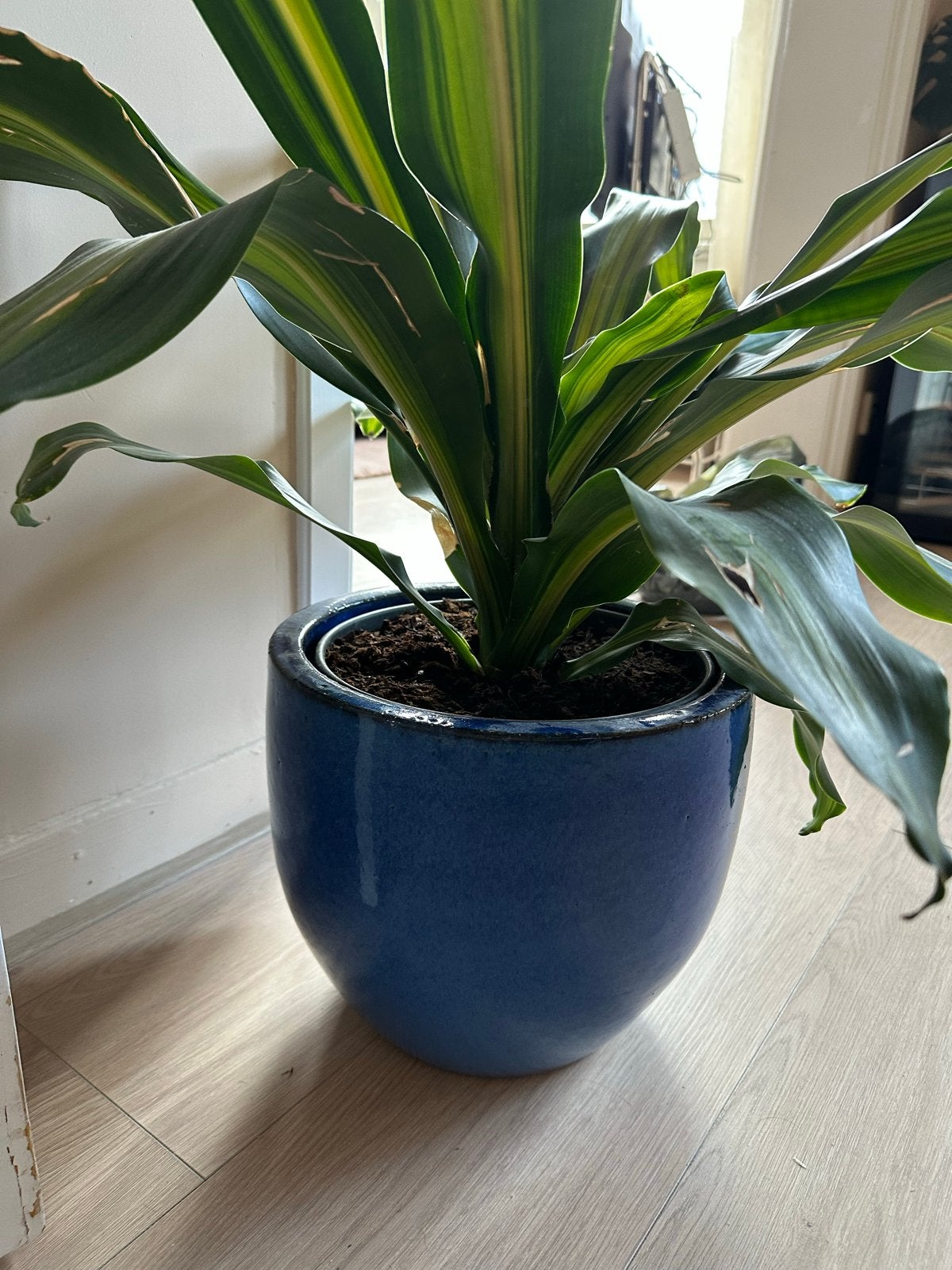 Blauwe geglazuurde bloempot, 17L, Tuin en Terras, Gebruikt, Rond, Binnen, Minder dan 40 cm