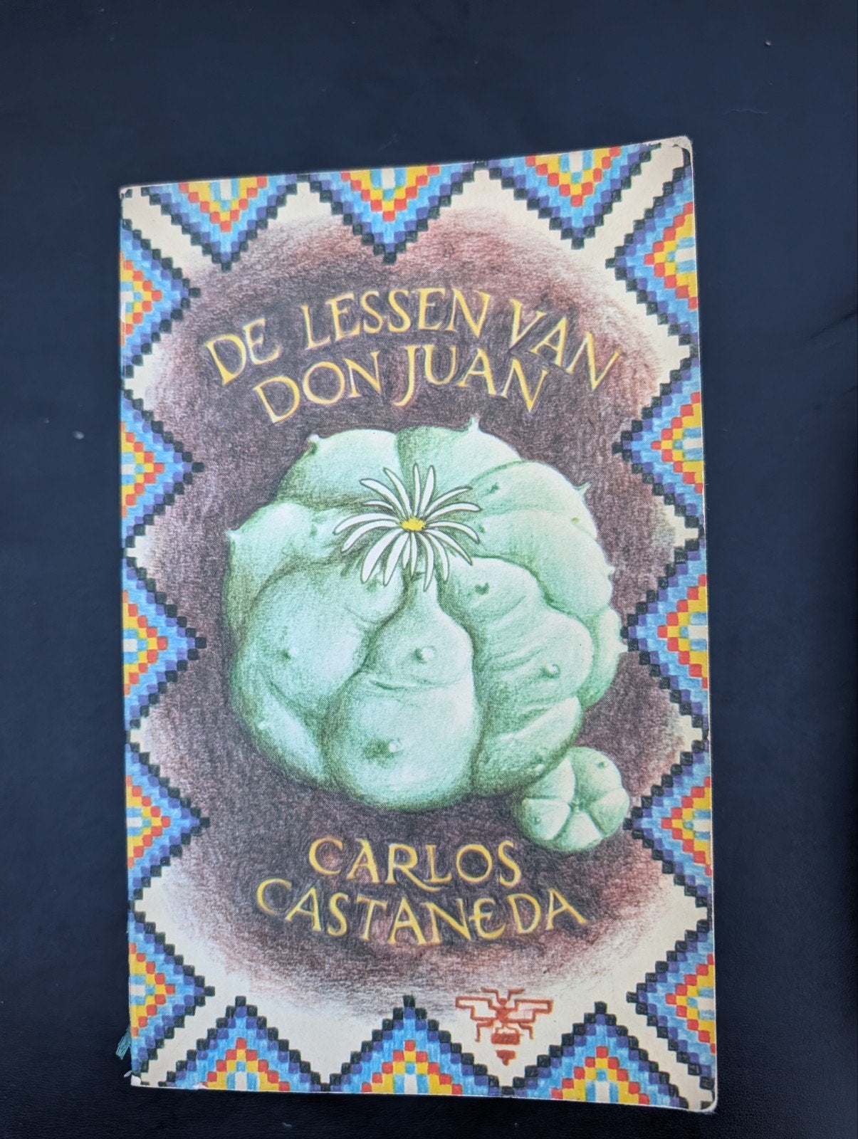 De Lessen van Don Juan - Carlos Castaneda, Gelezen, Achtergrond en Informatie, Spiritualiteit algemeen, Ophalen of Verzenden