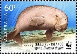 COCOSEILANDEN 17 - Dieren: zoogdieren (zeekoe), Ophalen of Verzenden, Postfris, Dier of Natuur