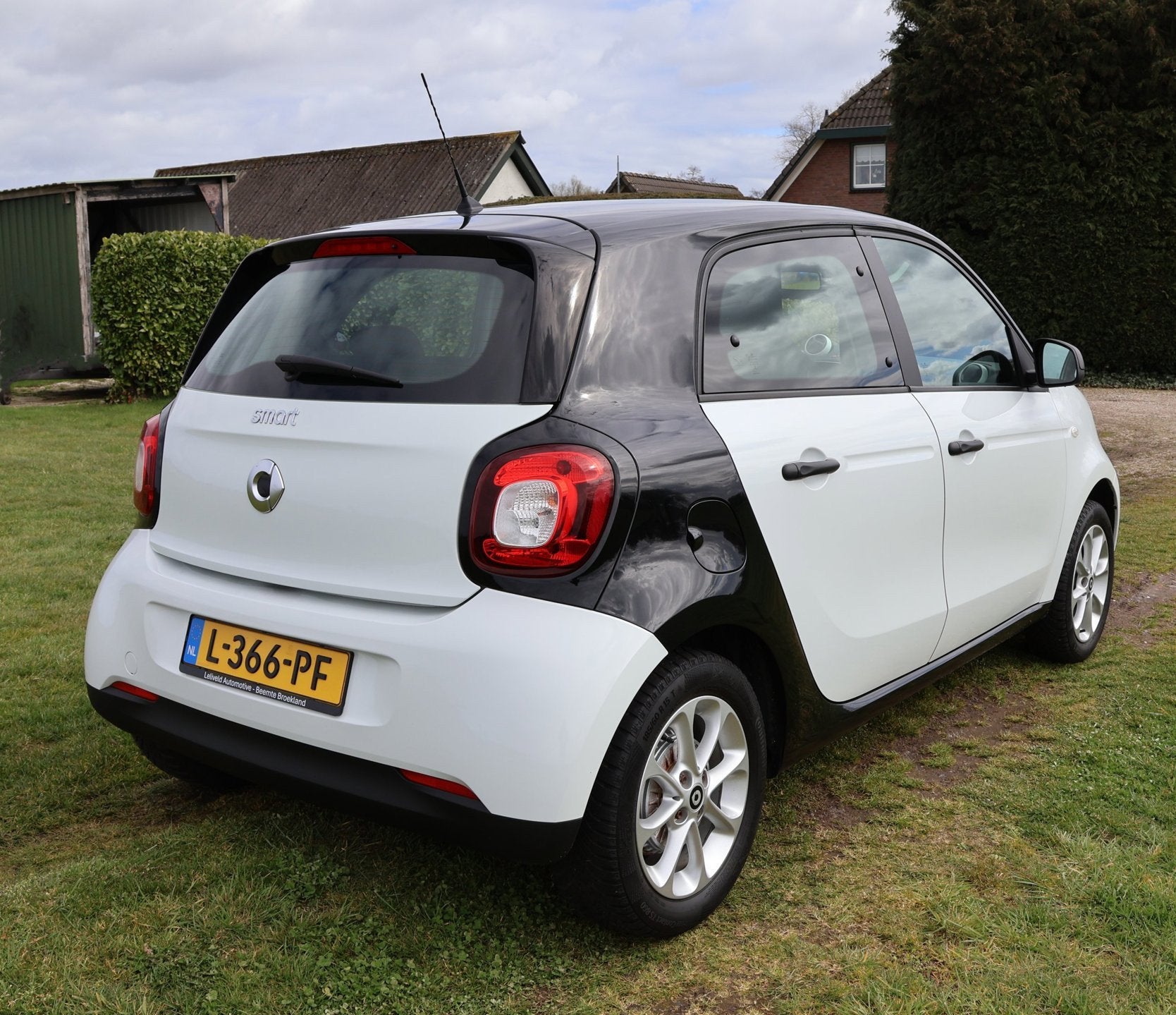 Smart Forfour Electric drive 18 kWh|Nieuwe ACCU!|Carplay|Par, Automaat, Gebruikt, 43 €/maand, Zwart
