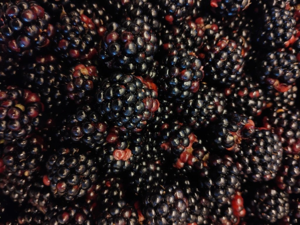 Diverse soorten groenten en fruit, Ophalen