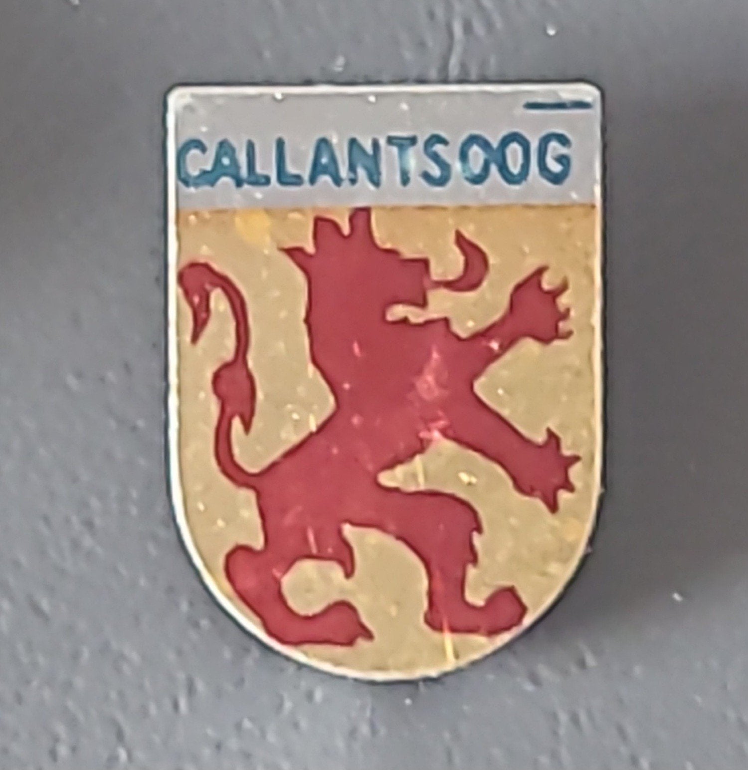 Speldje Callantsoog, Ophalen of Verzenden, Gebruikt, Overige onderwerpen