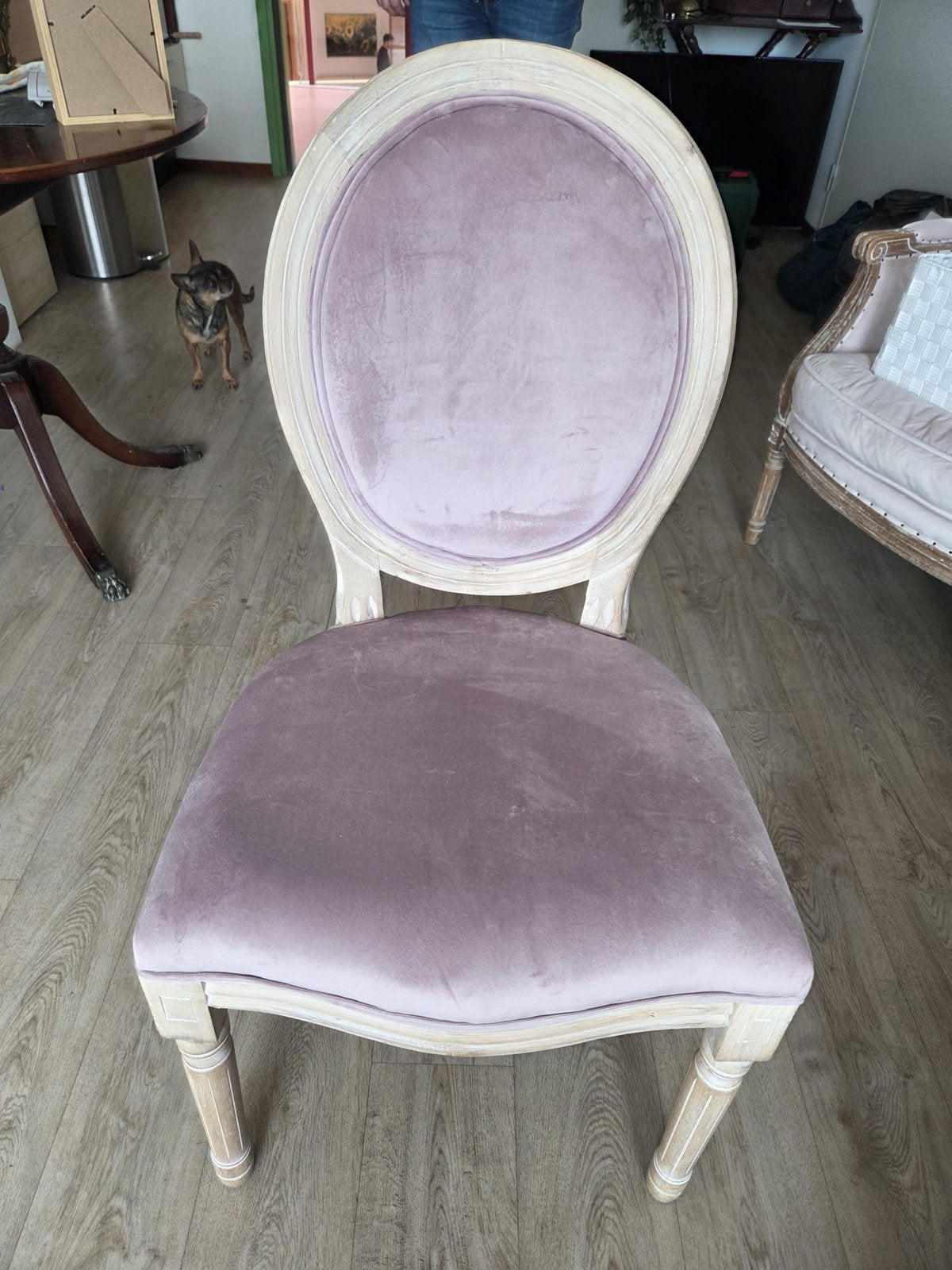 Set van 4 klassieke medaillon stoelen, roze velours, Ophalen