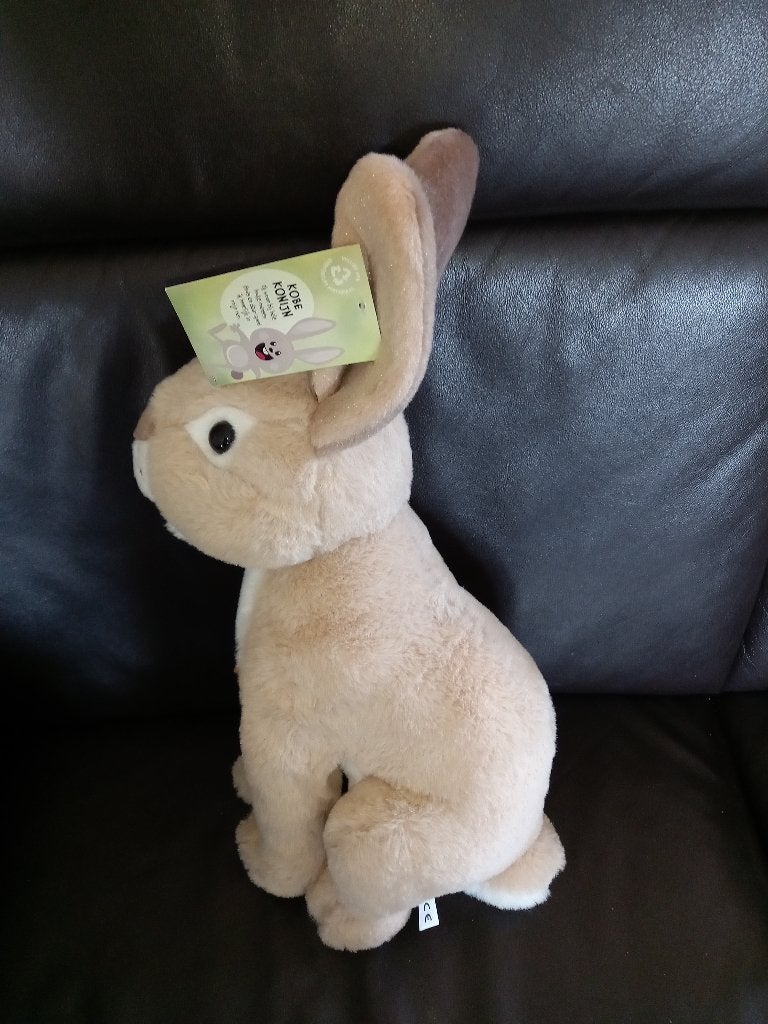 Velours haas/paashaas knuffel 50 cm groot Nieuw., Kinderen en Baby's, Overige typen, Nieuw, Ophalen of Verzenden, Middelgroot (20 tot 80 cm)