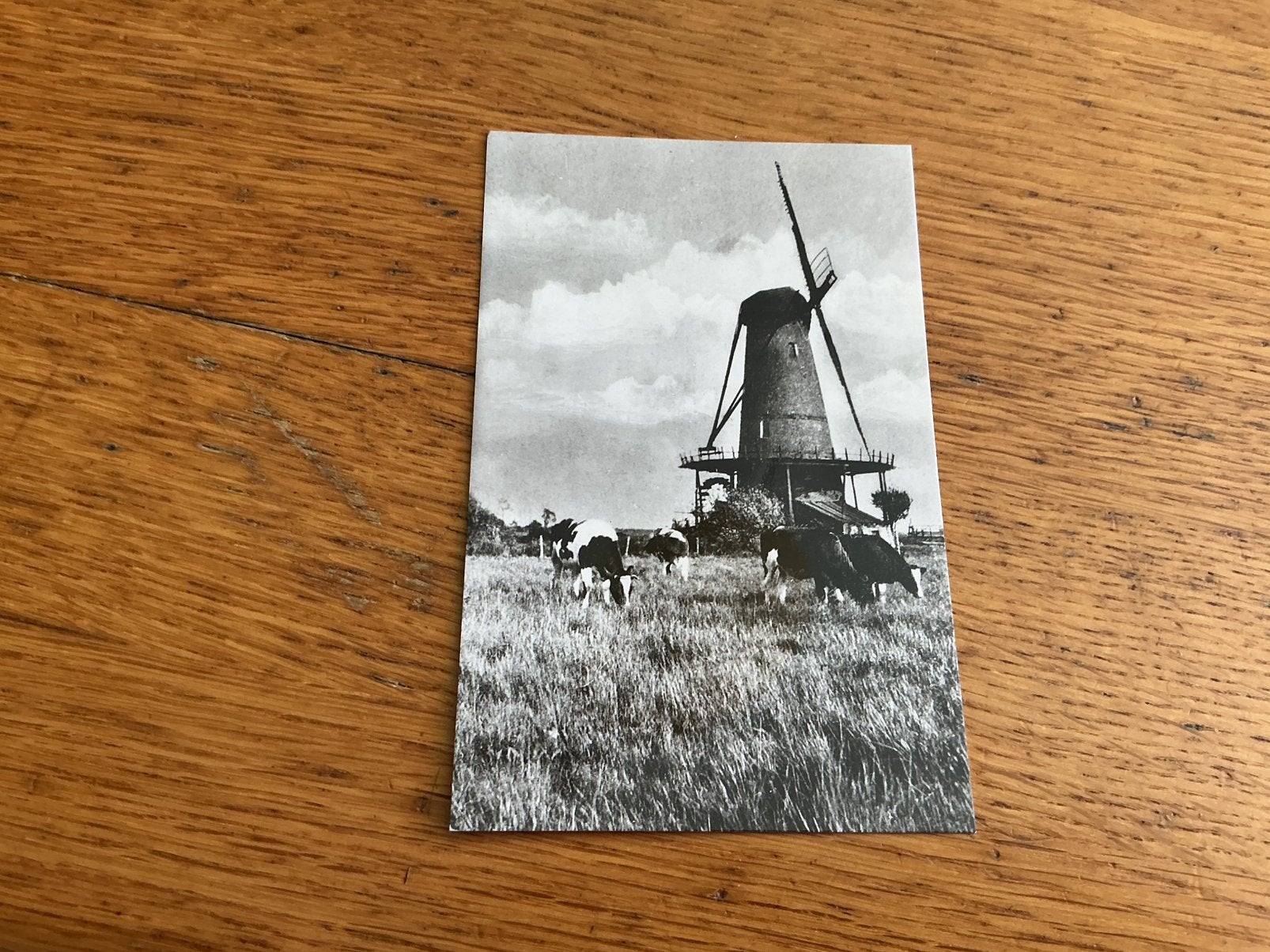 V129 Casteren molen REPRODUCTIE, Ophalen of Verzenden, Zeeland