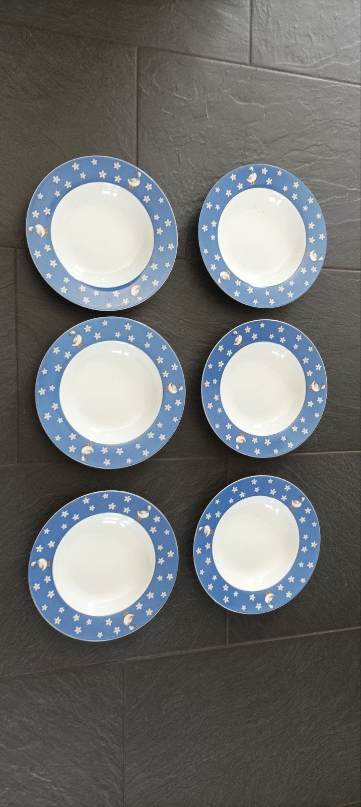 6 Flirt by R&B Daisy diepe borden met eendjes en bloemen, Gebruikt, Ophalen of Verzenden, Bord(en), Overige stijlen