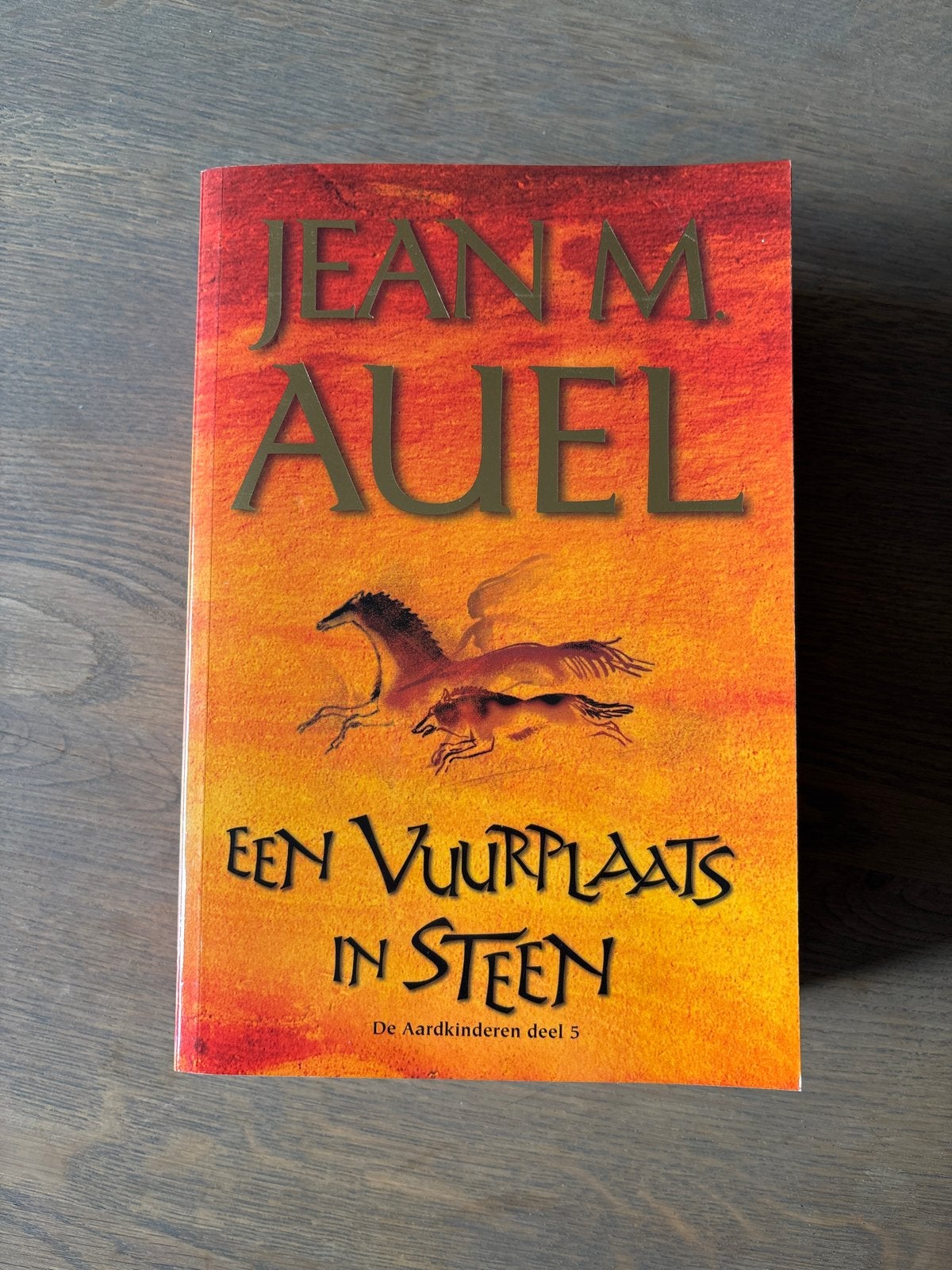 Een Vuurplaats in Steen - De Aardkinderen deel 5 - Jean M. A, Ophalen of Verzenden, Gelezen, Nederland
