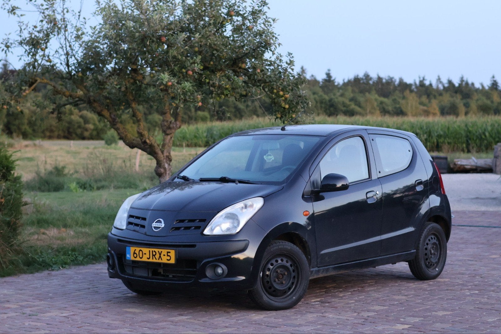 Nissan Pixo 1.0 50KW 5D 2009 Zwart, Voorwielaandrijving, 200 kg, 4 stoelen, Origineel Nederlands