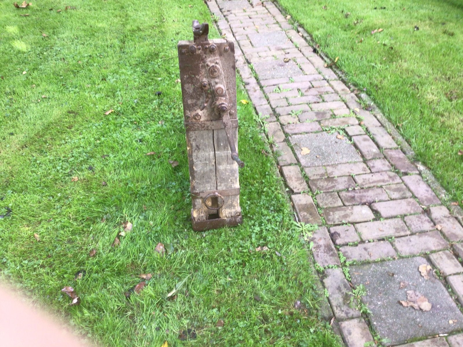 Dommekracht oftewel kelderwin, Ophalen