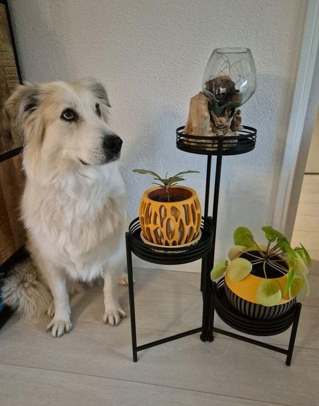 Zwart metalen plantenrek 3 hoogtes H61xD40 cm, Ophalen, Zwart, Zo goed als nieuw, Metaal