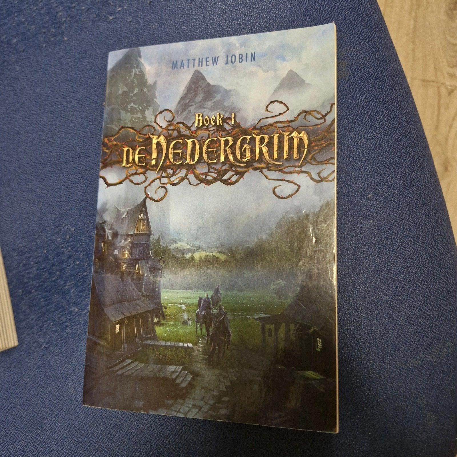 De Dedergrim Boek 1 - Matthew Jobin, Ophalen of Verzenden, Gelezen, Matthew Jobin