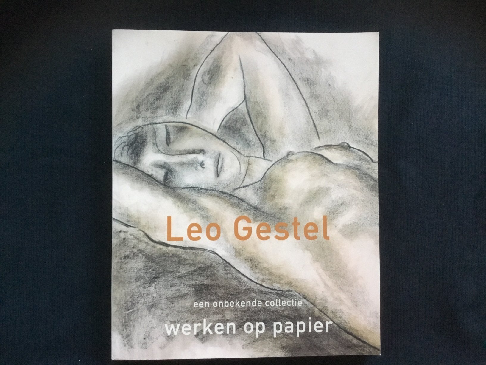 Kunstboek. LEO. GESTEL, Ophalen of Verzenden, Zo goed als nieuw